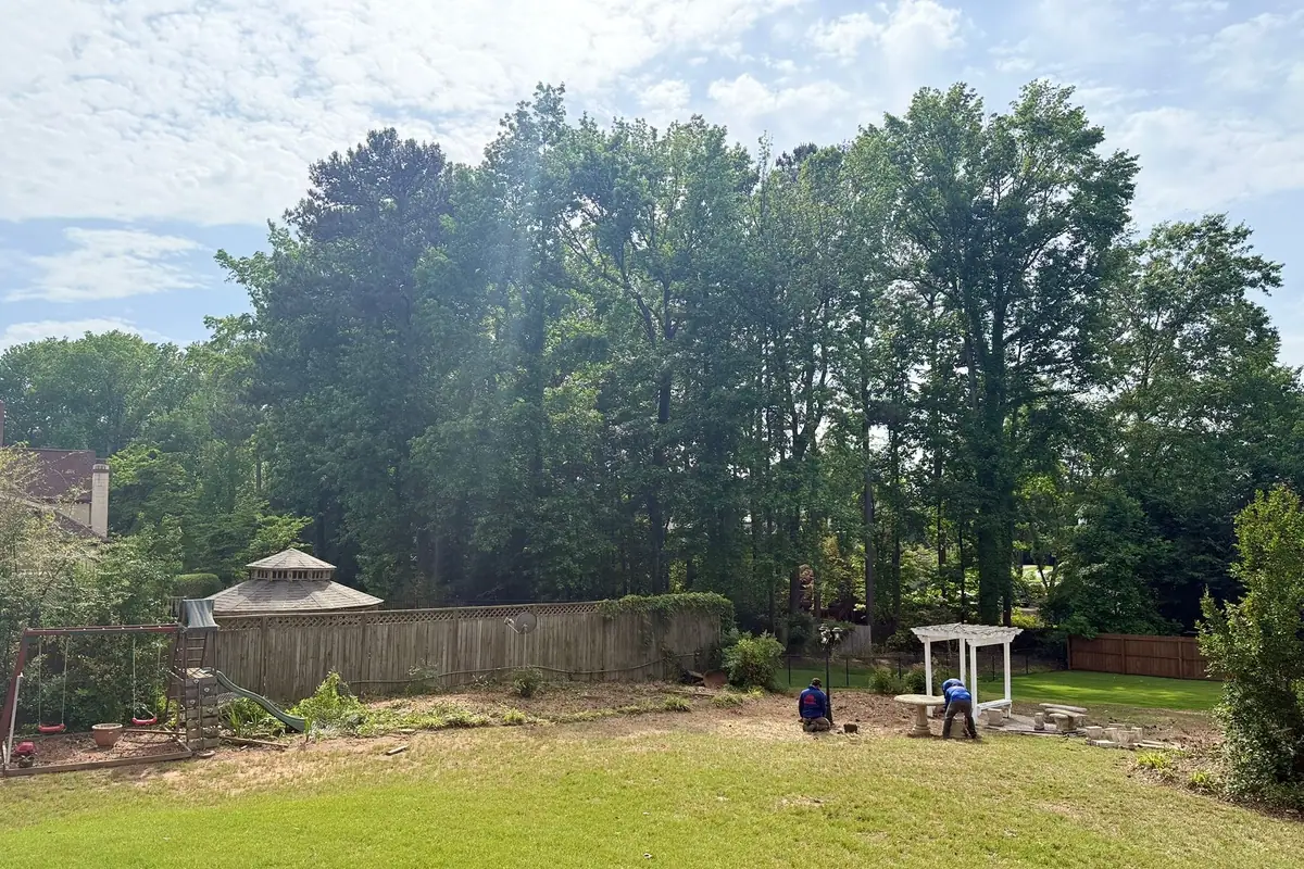When to Trim Trees in Georgia — and When to Leave Them Alone