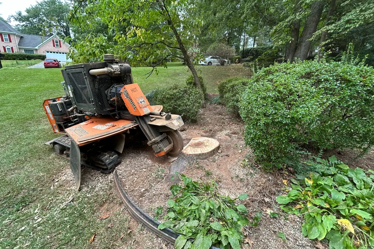 Stump Grinding