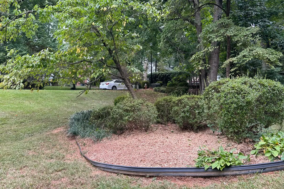 Tree Trimming